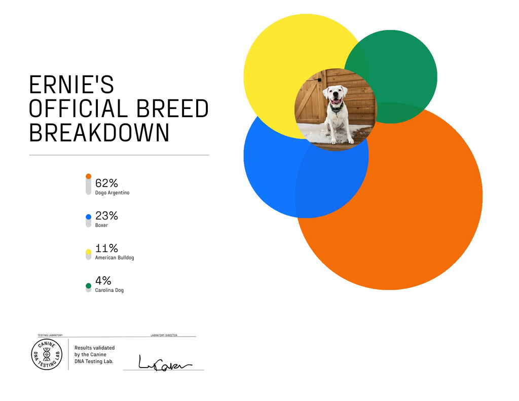 DNA My Dog Essential Breed ID Testing Kit